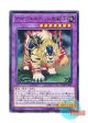 日本語版 CP17-JP022 Amazoness Pet Liger アマゾネスペット虎獅子 (ノーマル)