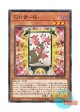 日本語版 CP20-JP029 Flower Cardian Cherry Blossom 花札衛－桜－ (ノーマル)