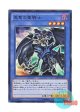 日本語版 CPD1-JP018 Paladin of Dark Dragon 黒竜の聖騎士 (スーパーレア)