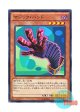 日本語版 CPL1-JP044 Magic Hand マジック・ハンド (ノーマル)