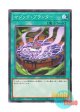 日本語版 DBVS-JP028 Magic Planter マジック・プランター (ノーマル)