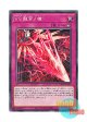 日本語版 DBWS-JP027 Vanquish Soul Calamity Caesar VS 龍帝ノ槍 (ノーマル)