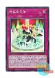 日本語版 DP19-JP040 Ultimate Crystal Magic 究極宝玉陣 (スーパーレア)