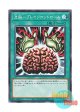 日本語版 DP24-JP042 Brain Control 洗脳－ブレインコントロール (ノーマル)