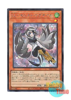 画像1: 日本語版 DP25-JP035 Lyrilusc - Celestine Wagtail LL－セレスト・ワグテイル (シークレットレア)