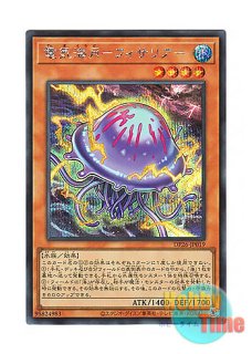 日本語版 PHRA-JP039 Penguin Brave ペンギン勇者 (ノーマル)