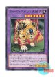 日本語版 DP27-JP043 Amazoness Pet Liger アマゾネスペット虎獅子 (ノーマル)