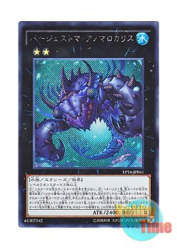 画像1: 日本語版 EP16-JP041 Paleozoic Anomalocaris バージェストマ・アノマロカリス (シークレットレア)