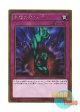 日本語版 GP16-JP020 Bottomless Trap Hole 奈落の落とし穴 (ゴールドレア)
