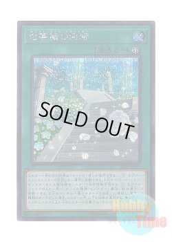 画像1: 日本語版 20PP-JP011 White Rose Cloister 白薔薇の回廊 (シークレットレア)