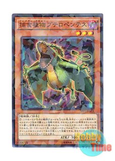 英語版 JUMP-EN011 Victory Dragon ヴィクトリー・ドラゴン
