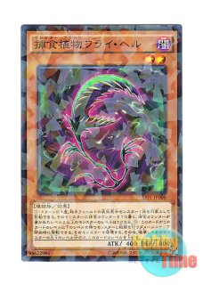 英語版 JUMP-EN011 Victory Dragon ヴィクトリー・ドラゴン