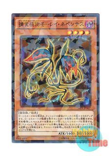 英語版 JUMP-EN011 Victory Dragon ヴィクトリー・ドラゴン