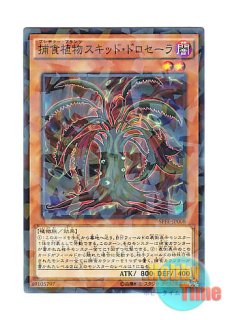 英語版 JUMP-EN011 Victory Dragon ヴィクトリー・ドラゴン