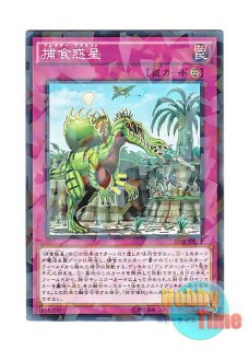 英語版 JUMP-EN011 Victory Dragon ヴィクトリー・ドラゴン