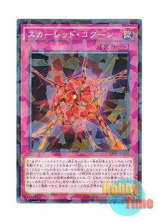 S:P リトルナイト a Amazon.co.jp: 遊戯王 S：Pリトルナイト(スーパーレア) AGE OF