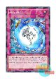 日本語版 SPRG-JP045 Fragment Fusion 廃石融合 (ノーマル・パラレル)
