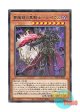 日本語版 WPP1-JP021 Morpheus, the Dream Mirror Black Knight 夢魔鏡の黒騎士－ルペウス (レア)