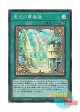 日本語版 WPP1-JP023 Dream Mirror of Joy 聖光の夢魔鏡 (スーパーレア)
