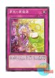 日本語版 WPP1-JP028 Dream Mirror Hypnagogia 夢現の夢魔鏡 (ノーマル)