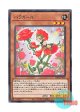 日本語版 WPP1-JP055 Rose Girl バラガール (レア)
