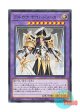 日本語版 WPP2-JP012 Arcana Knight Joker アルカナ ナイトジョーカー (ノーマル)