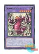 日本語版 WPP6-JP005 Divine Scorpion Beast of Serket 聖神獣セルケト (レア)
