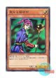 日本語版 20AP-JP013 Magician of Faith 聖なる魔術師 (ノーマル・パラレル)
