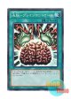 日本語版 20AP-JP017 Brain Control 洗脳－ブレインコントロール (スーパーレア・パラレル)