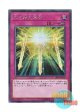 日本語版 20TH-JPC39 Spiritual Swords of Revealing Light 光の護封霊剣 (シークレットレア)