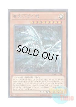画像1: 日本語版 20TH-JPC54 Blue-Eyes Alternative White Dragon 青眼の亜白龍 (シークレットレア)