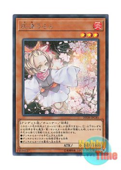 画像1: 日本語版 20TH-JPC85 Ash Blossom & Joyous Spring 灰流うらら (シークレットレア)