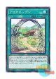日本語版 LVP1-JP079 Aroma Garden アロマガーデン (ノーマル)