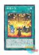 日本語版 LVP3-JP040 Mythical Bestiary 魔導加速 (ノーマル)