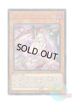 画像1: 日本語版 RC03-JP019 Red Blossoms from Underroot カクリヨノチザクラ (シークレットレア)