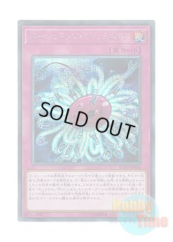 画像1: 日本語版 RC03-JP046 Paleozoic Dinomischus バージェストマ・ディノミスクス (シークレットレア)