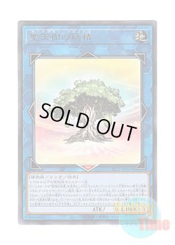 画像1: 日本語版 SLT1-JP031 Sunavalon Dryas 聖天樹の幼精 (レア)