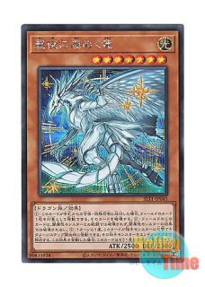 日本語版 SLT1-JP001 Vampire Voivode 竜血公ヴァンパイア
