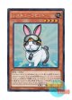 日本語版 TRC1-JP020 Rescue Rabbit レスキューラビット (コレクターズレア)