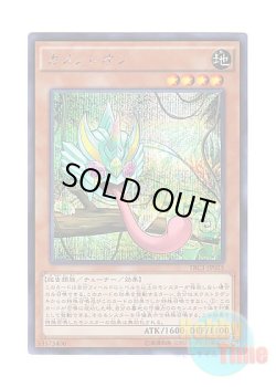 画像1: 日本語版 TRC1-JP025 Masked Chameleon カメンレオン (シークレットレア)