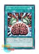 日本語版 15AY-JPA26 Brain Control 洗脳－ブレインコントロール (ノーマル)