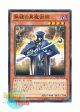 日本語版 15AY-JPC19 Skilled Dark Magician 熟練の黒魔術師 (ノーマル)