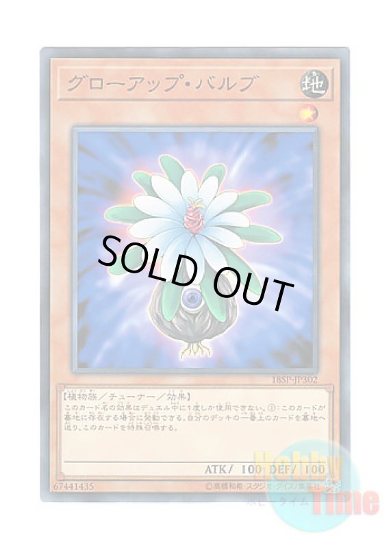 画像1: 日本語版 18SP-JP302 Glow-Up Bulb グローアップ・バルブ (ノーマル) (1)