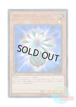 画像1: 日本語版 18SP-JP302 Glow-Up Bulb グローアップ・バルブ (スーパーレア)