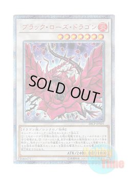画像1: 日本語版 20CP-JPS05 Black Rose Dragon ブラック・ローズ・ドラゴン (20thシークレットレア)