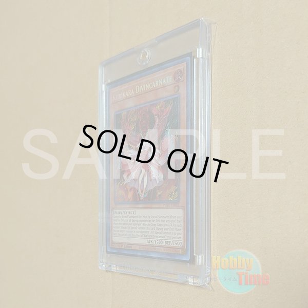 画像4: HEIKO クリスタルパック T8-12