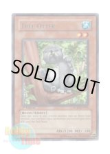 画像: 英語版 RGBT-EN095 Tree Otter ラッコアラ (レア) 1st Edition