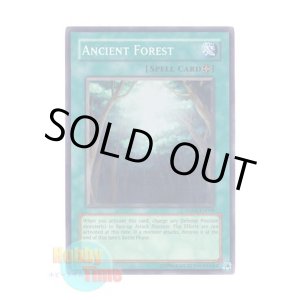画像: 英語版 ANPR-EN048 Ancient Forest 古の森 (スーパーレア) Unlimited