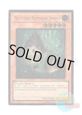 画像: 英語版 DREV-EN029 Naturia Bamboo Shoot ナチュル・バンブーシュート (アルティメットレア) Unlimited