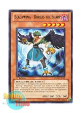 画像: 英語版 STOR-EN007 Blackwing - Boreas the Sharp ＢＦ－尖鋭のボーラ (レア) 1st Edition